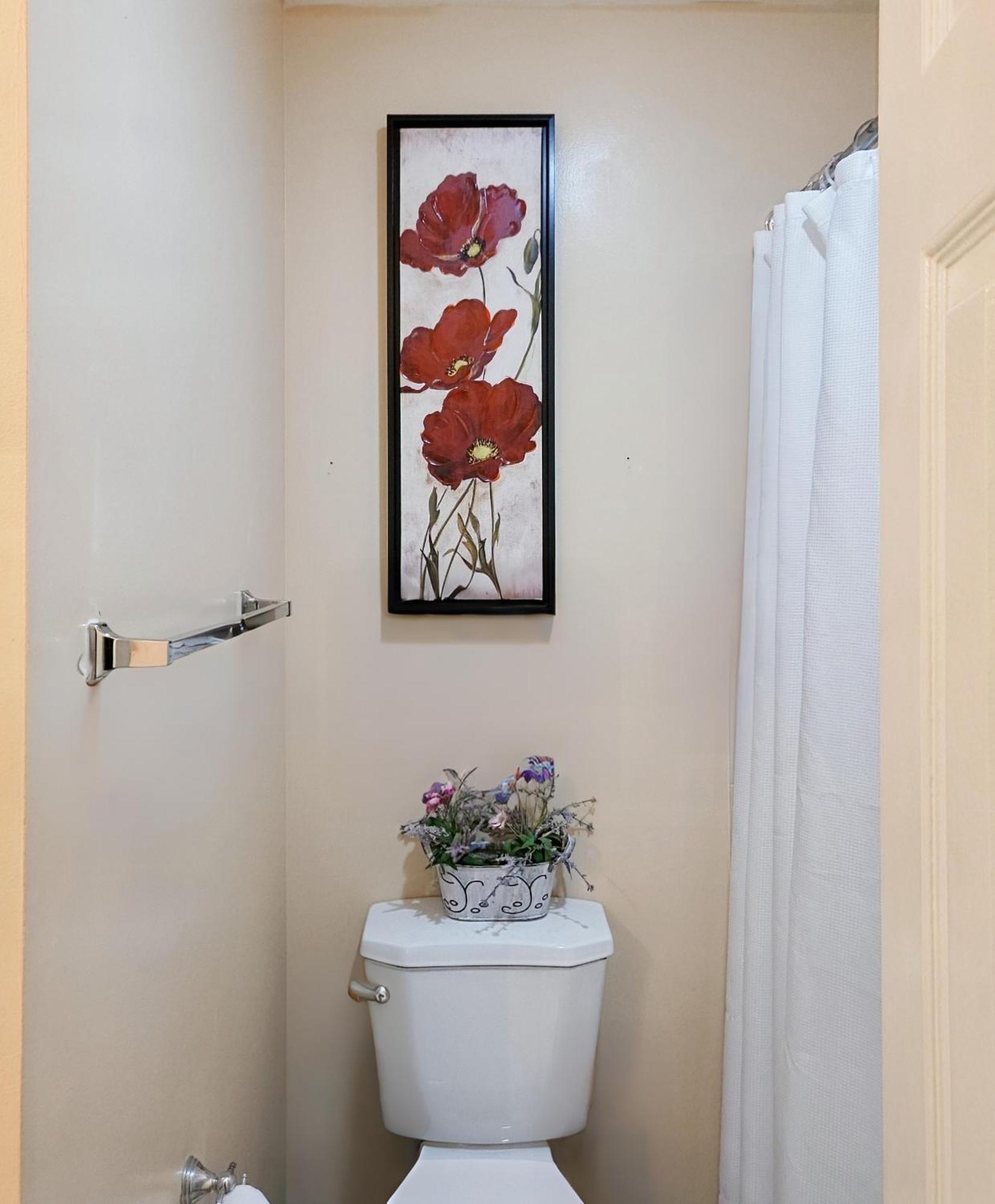 Modern Comfort Stays Александрия Екстериор снимка
